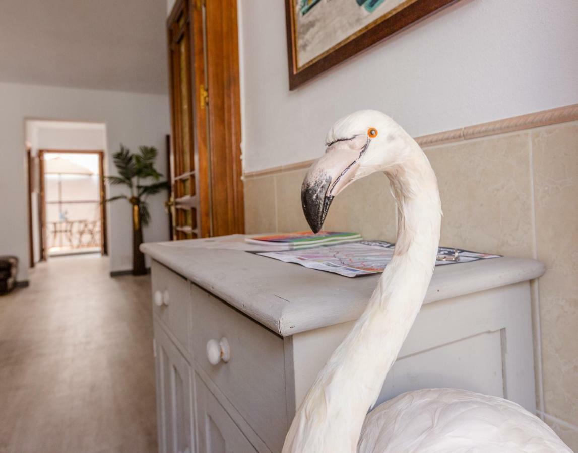 Alhaurin Old Town, Casa Flamingo, 2 Bed Apartment Альхаурин-эль-Гранде Экстерьер фото